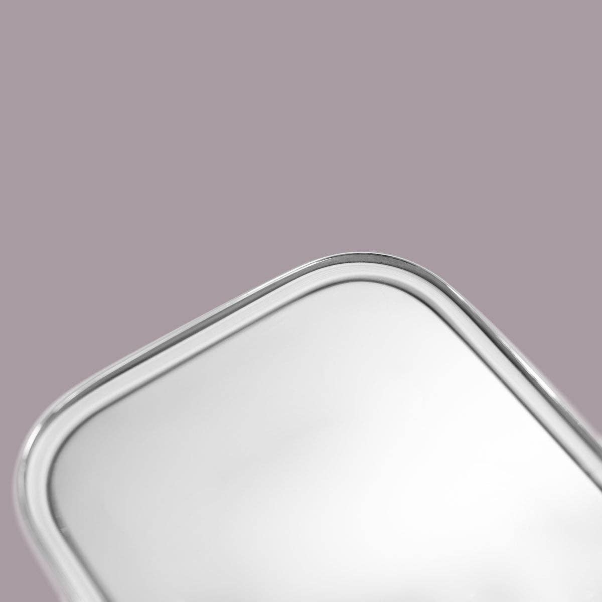 PureLunchBox Airtight Large