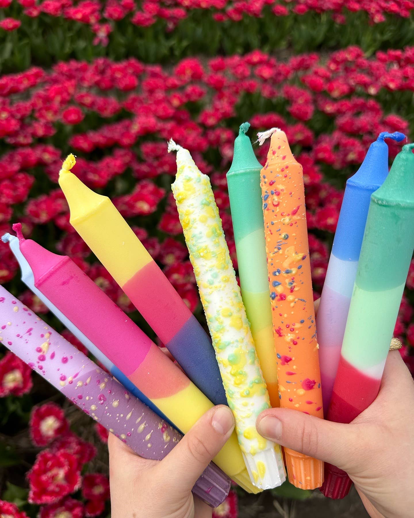Summer Vibes: Konfetti Sitron