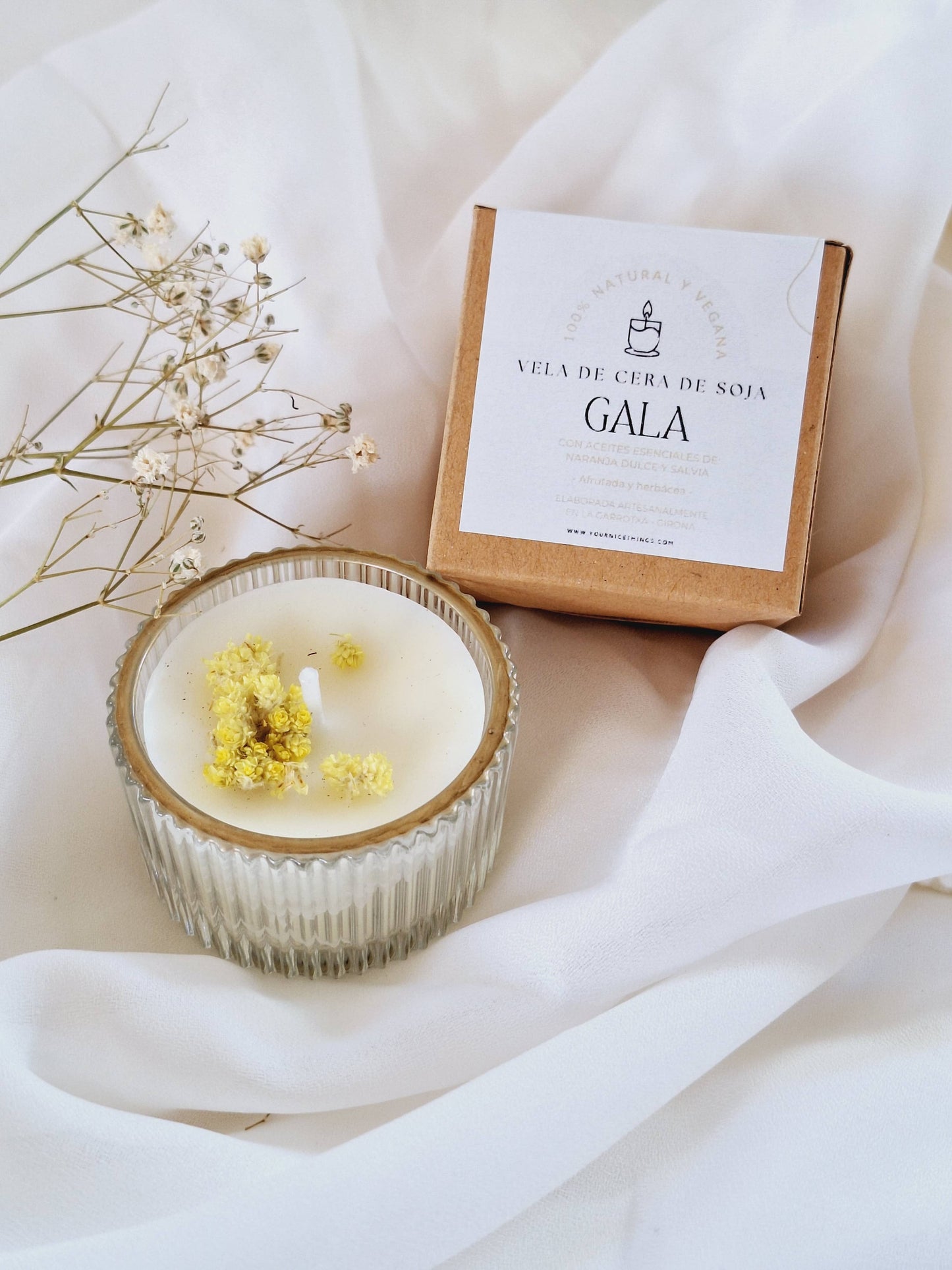 Soyalys: Gala