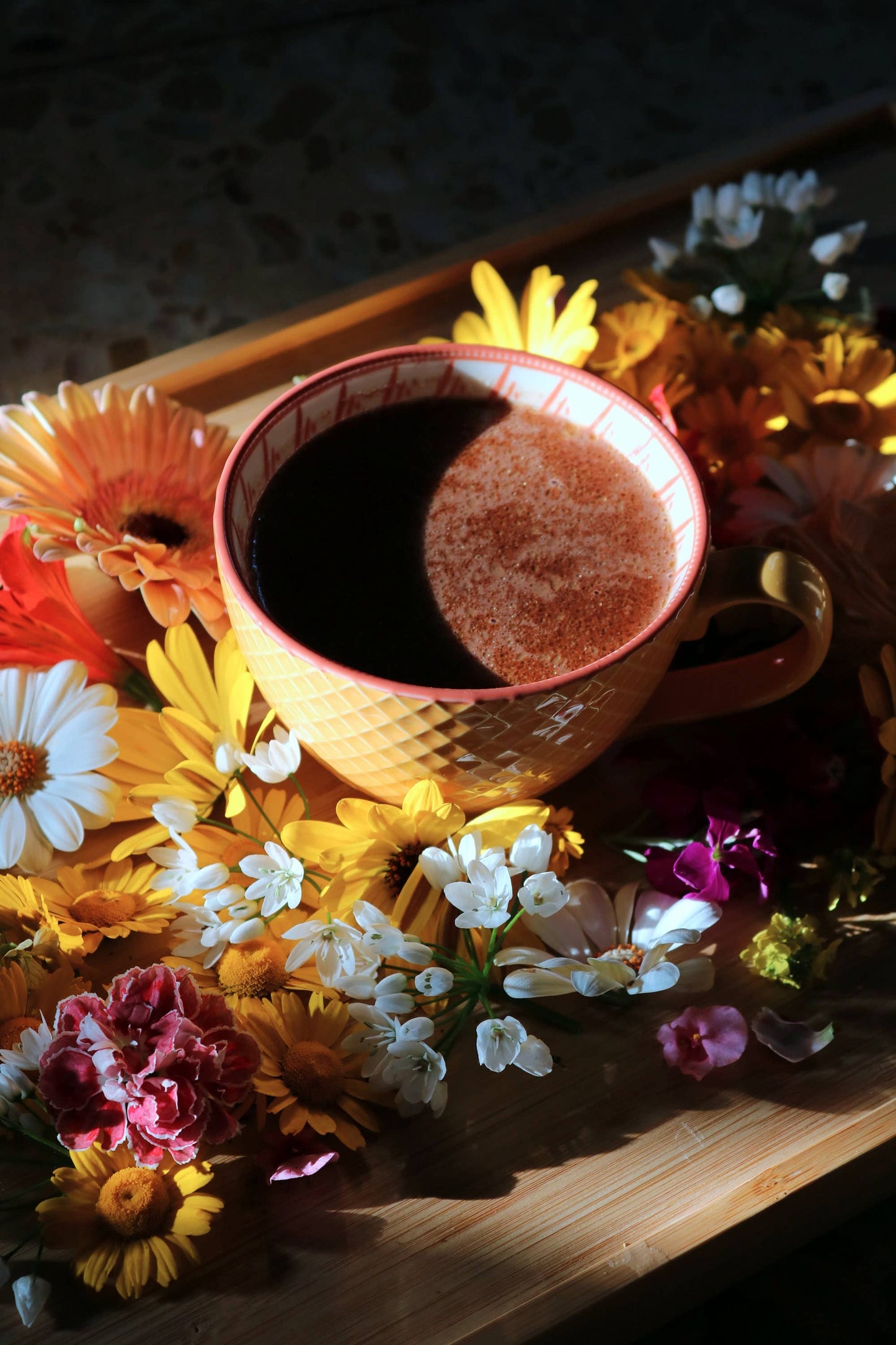 Choc Me Up, sjokolade med chaga