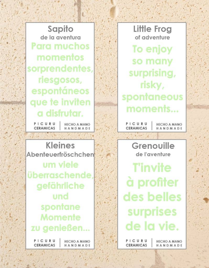 Amulet Little Frog of Adventures (5 languages)