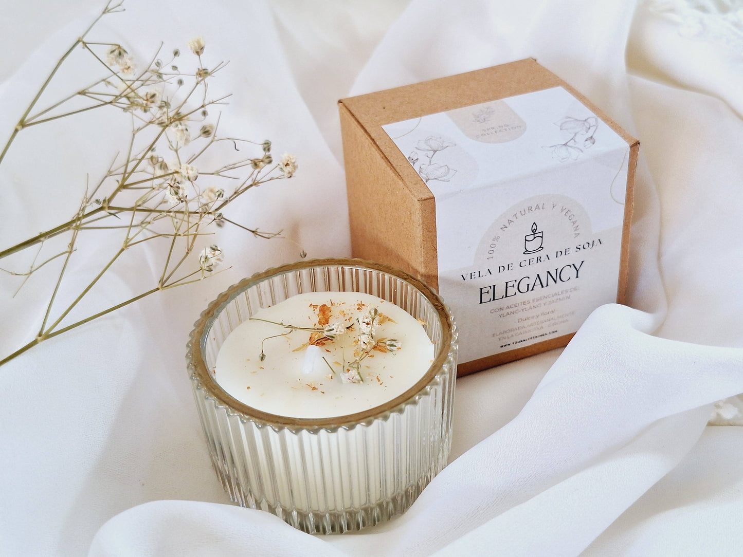 Soyavoks: Elegancy