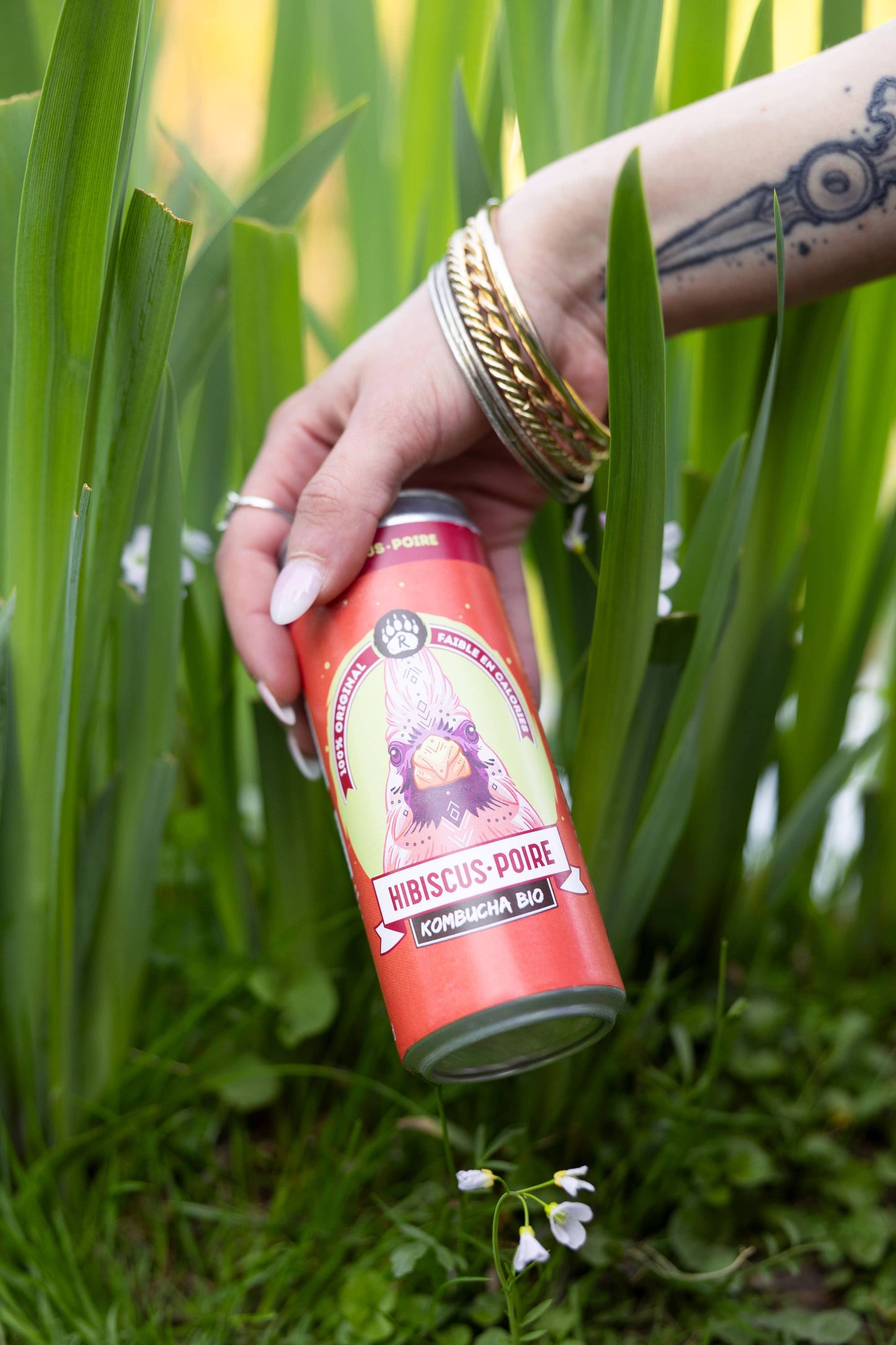 R-KOMBUCHA - Hibiscus & Pear - 33cl can