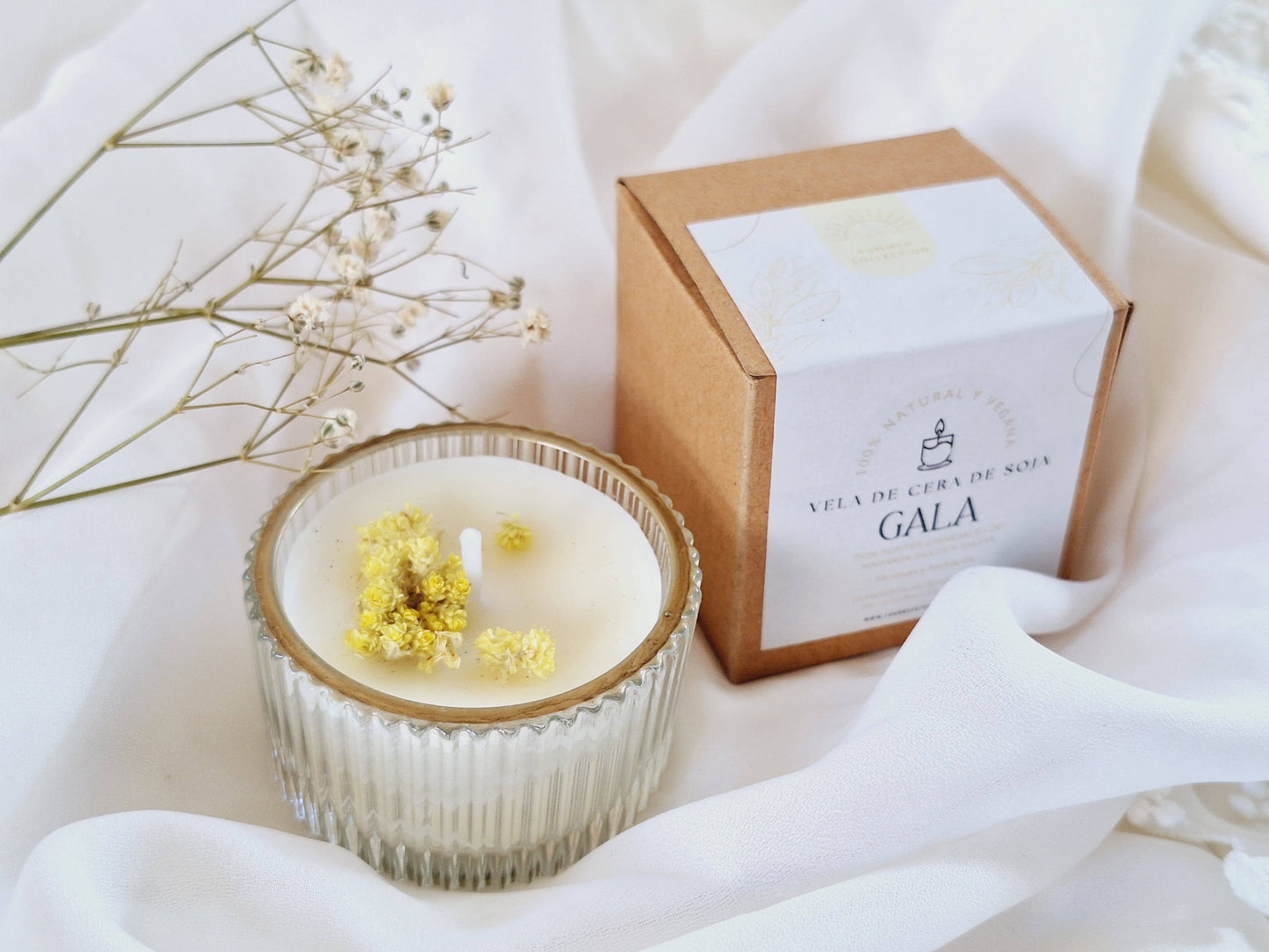 Soyalys: Gala