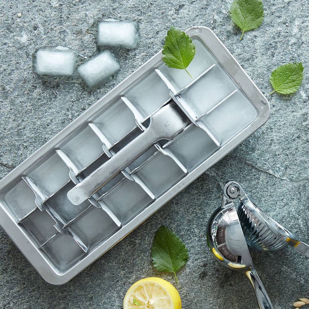 IceCubeTray