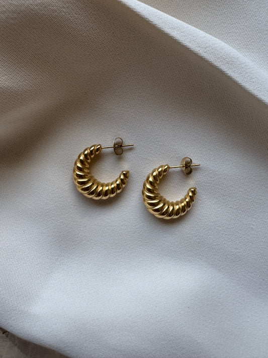Amy Hoops